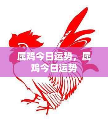 属鸡今日运势详解