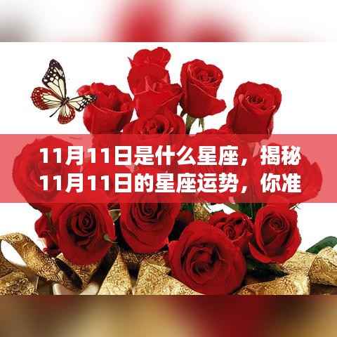 揭秘11月11日星座运势,好运降临,你准备好了吗?