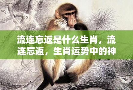 揭秘生肖魅力,流连忘返的生肖运势之谜