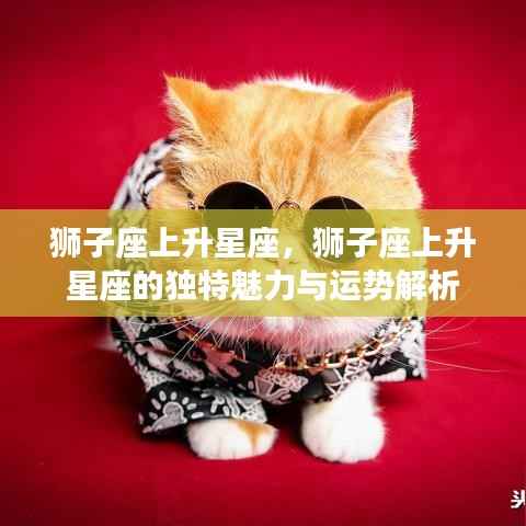 狮子座上升星座的魅力运势解析与独特性格特征探索