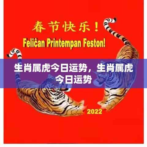 生肖属虎今日运势详解