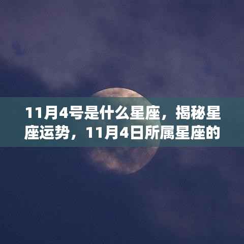 揭秘星座运势,揭秘11月4日所属星座的奥秘与运势分析