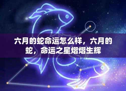 六月的蛇,命运之星熠熠生辉的奥秘解析
