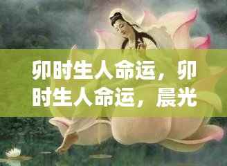 卯时出生者的命运解析,晨光之星预示璀璨人生