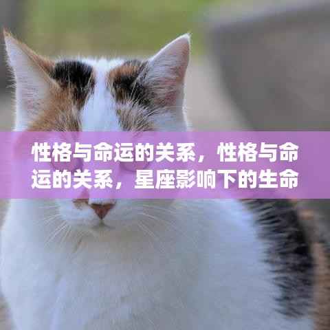 性格与命运,星座影响下的生命轨迹深度探索