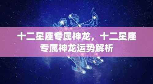 十二星座专属神龙运势解析及特点揭秘
