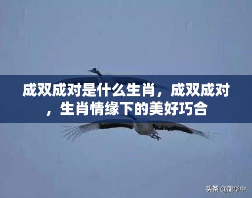 成双成对的生肖情缘,揭秘生肖下的美好巧合