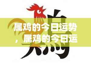 属鸡的今日运势,属鸡的今日运势,把握机遇,成就非凡