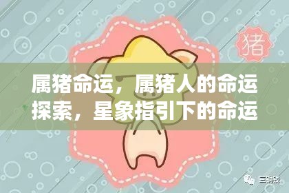 属猪人的命运探索,星象指引下的命运之路