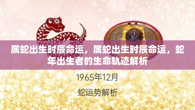 蛇年出生者的命运解析与生命轨迹探索,时辰决定命运?