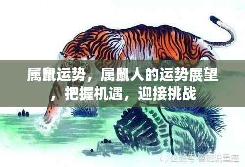 属鼠人的运势展望,把握机遇,迎接挑战,迎接美好未来!