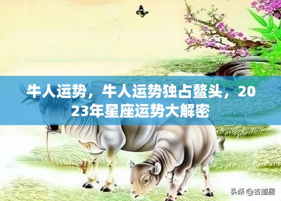 牛人独领风骚,2023年星座运势大解密