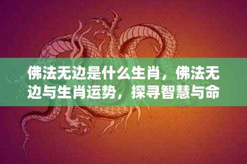 佛法无边与生肖运势,探寻智慧与命运的神秘交融