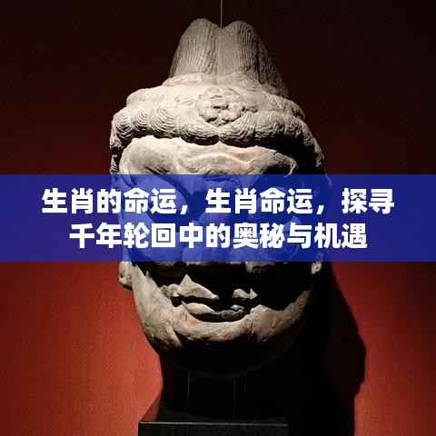 就事论事 第6页