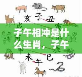 子午相冲生肖揭秘,运势影响与生肖解析