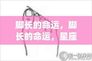 星座运势中的微妙暗示,脚长与命运的联系