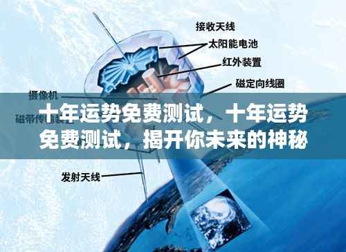 十年运势揭秘,免费测试揭示你未来的神秘面纱
