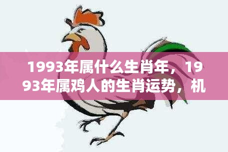 1993年属鸡人的生肖运势,机遇与挑战并存的一年