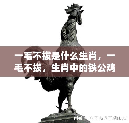 一毛不拔与铁公鸡,揭秘生肖中的吝啬特质