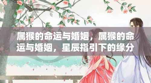 属猴命运与婚姻,星辰指引下的缘分际遇探索