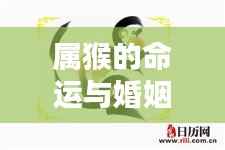 属猴命运与婚姻,星辰指引下的缘分际遇探索