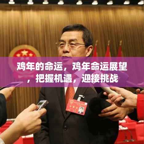 鸡年命运展望,把握机遇,迎接挑战