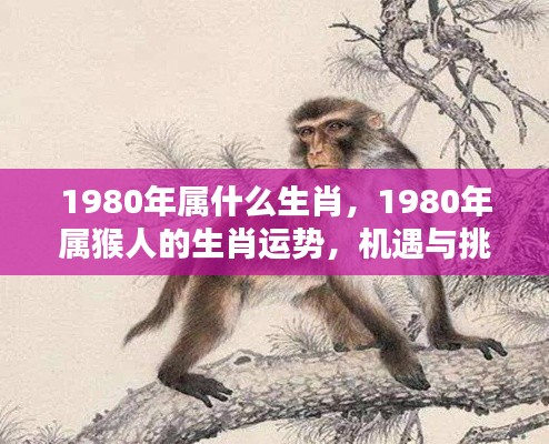 1980年属猴人的机遇与挑战并存的一年,生肖运势解析