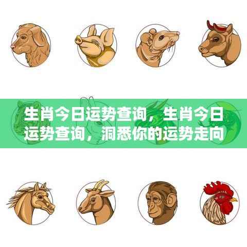 生肖今日运势查询详解,洞悉你的运势走向