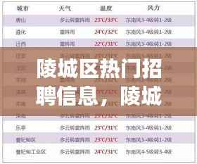 陵城区热门招聘信息概览,职业发展的黄金机会探寻