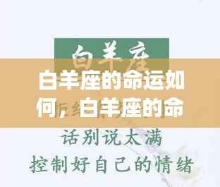 白羊座的命运深度解析与走势探讨