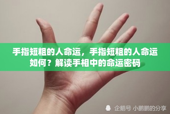 手指短粗的人命运揭秘,手相中的命运密码解读