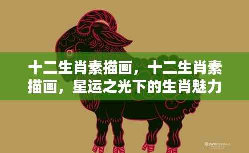 星运之光下的生肖魅力,十二生肖素描画欣赏