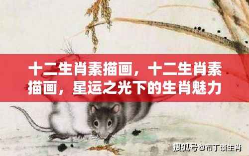 星运之光下的生肖魅力,十二生肖素描画欣赏