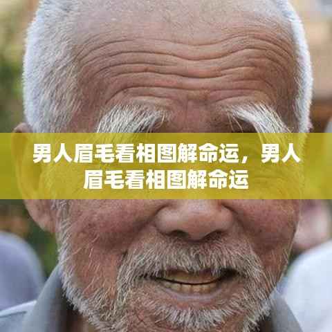 男人眉毛看相图解,解读眉型与命运关联