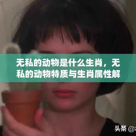 无私动物特质与生肖属性解读,揭秘生肖中的无私动物真面目