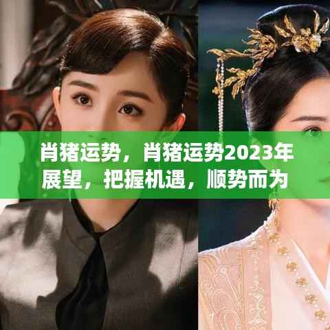 肖猪运势2023年展望,把握机遇,顺势而为