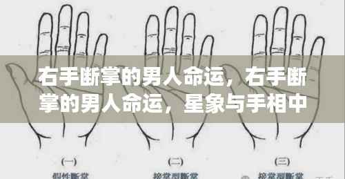 鸟入樊笼 第4页