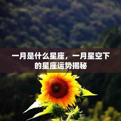 一月星座运势揭秘,星空下的星座性格与运势探索