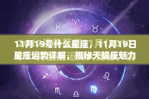 揭秘天蝎座魅力背后的秘密,11月19日星座运势详解与天蝎座运势展望