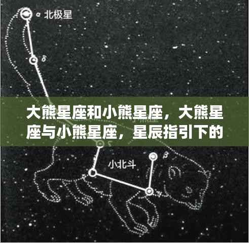 大熊星座与小熊星座,星辰指引的运势探索