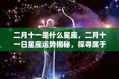 二月十一日星座运势揭秘,探寻属于你的星辰轨迹,掌握星座运势走向