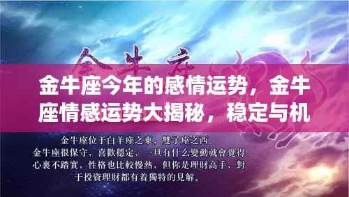 金牛座情感运势揭秘,稳定与机遇并存,今年感情展望