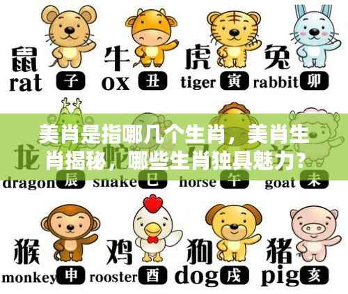 揭秘美肖生肖魅力,哪些生肖独具魅力?