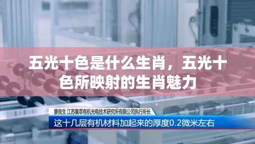 五光十色映生肖魅力，揭秘生肖中的色彩艺术