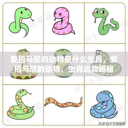 揭秘生肖中爱拍马屁的动物与运势关联