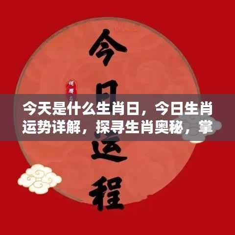 今日生肖运势揭秘,掌握运势走向,探寻生肖奥秘