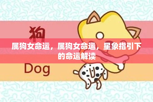属狗女的命运解读,星象指引下的运势展望