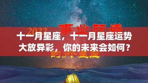 十一月星座运势展望,星光璀璨,未来命运如何?