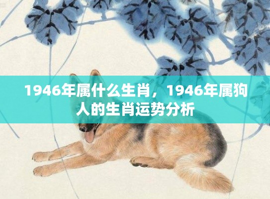 1946年属狗人的运势解析与生肖运势详解