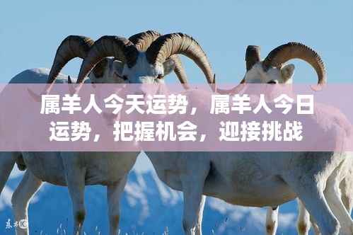 属羊人今日运势展望,把握机遇,迎接挑战